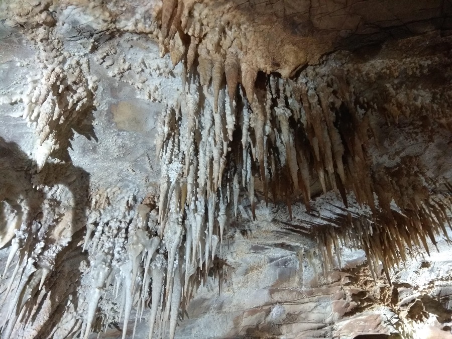 cueva masero (1)